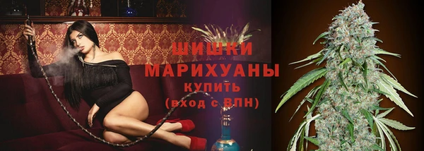 прущие грибы Бронницы