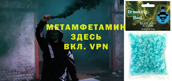 прущие грибы Бронницы