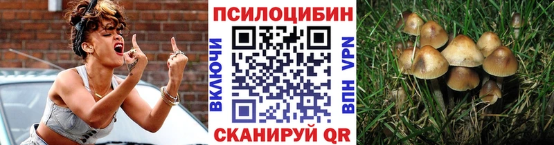 Купить закладки  Черноголовка  Галлюциногенные грибы MAGIC MUSHROOMS 